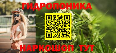 кокс Нальчик