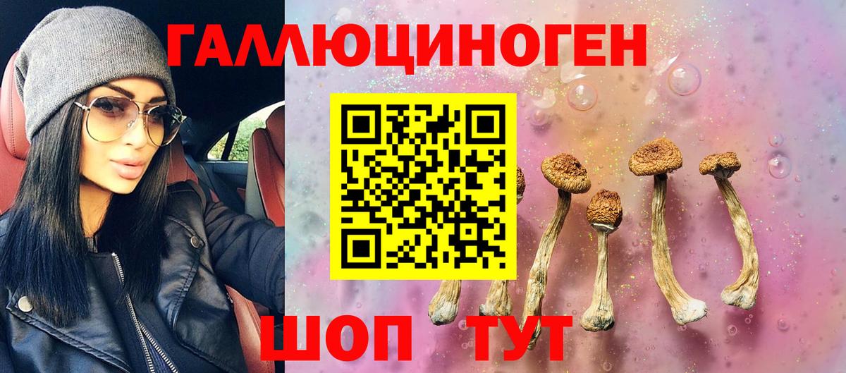 Псилоцибиновые грибы GOLDEN TEACHER Урус-Мартан
